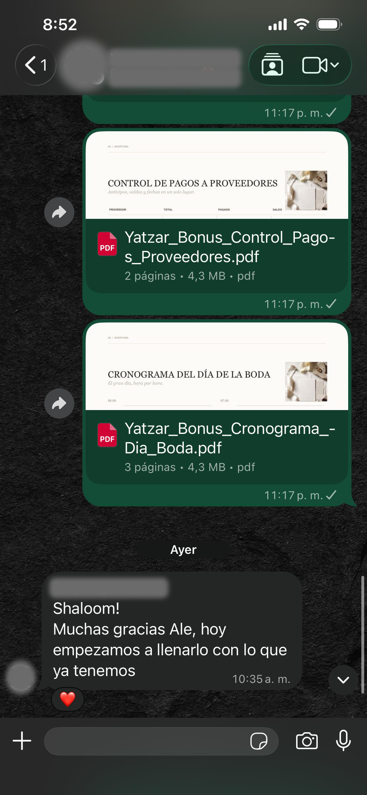 Captura anonimizada de una novia comenzando a utilizar el planificador